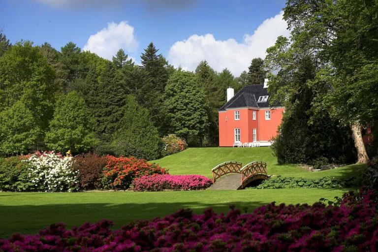 100996636_2968833769870899_3872618019045769216_n