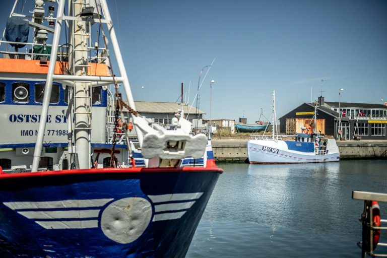 Nordvestkysten-sommer-2020©FlyingOctober-1883-1600px