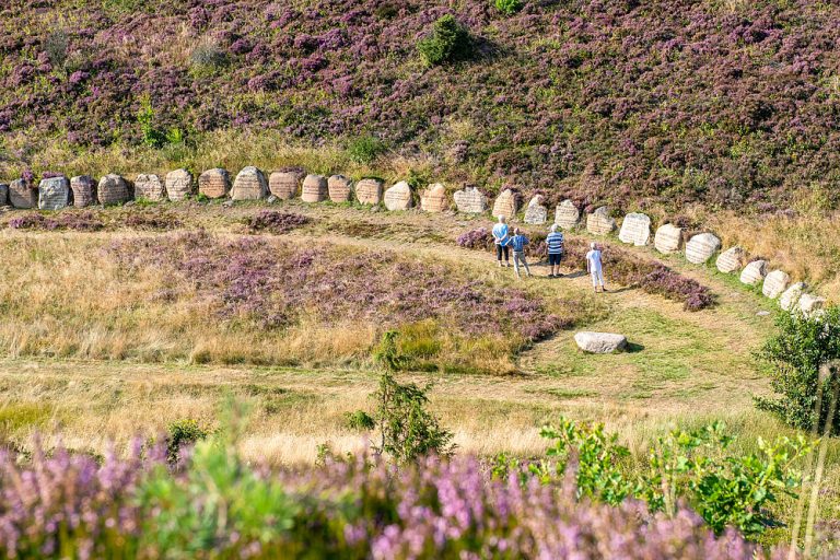 csm_VIBORG-001_54c2b9da6f