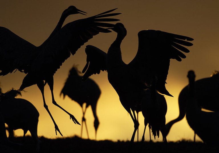 csm_VIBORG-006_f5c399f9ed