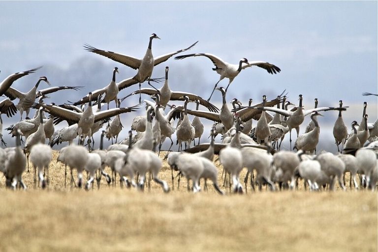 csm_gallery_543_98_138261__FILEminimizer__45f1f09233